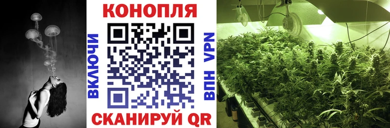 Виды наркотиков купить Спасск-Дальний ГАШИШ  Cocaine  A-PVP  Конопля  Меф 