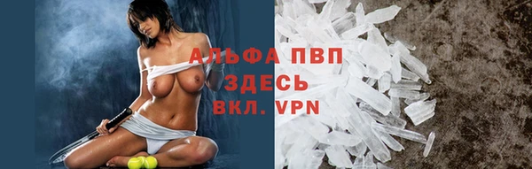 крисы Бородино