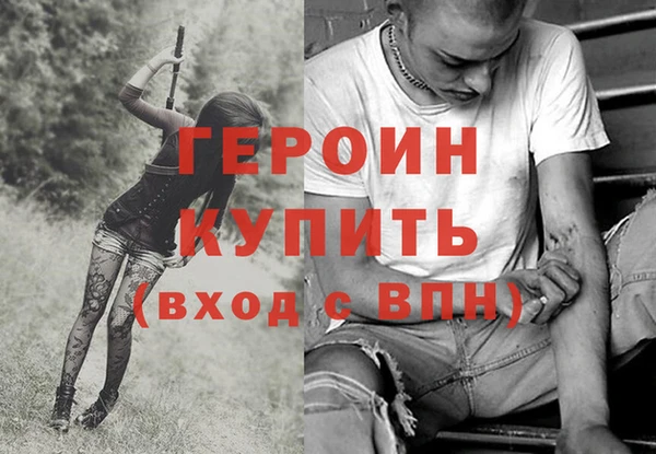 крисы Бородино
