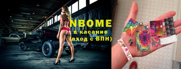 крисы Бородино