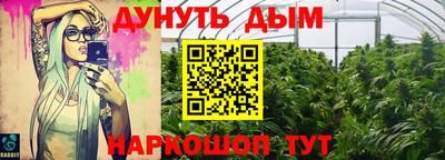наркотики Новозыбков