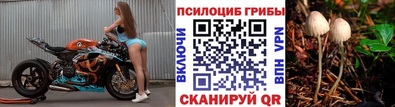 Галлюциногенные грибы MAGIC MUSHROOMS Спасск-Дальний