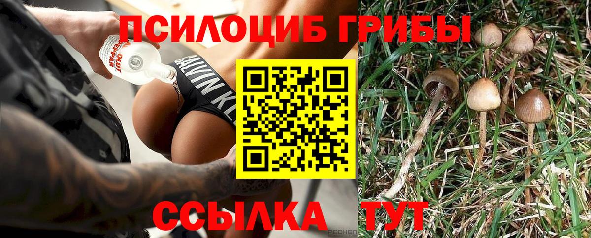 Псилоцибиновые грибы Magic Shrooms Спасск-Дальний