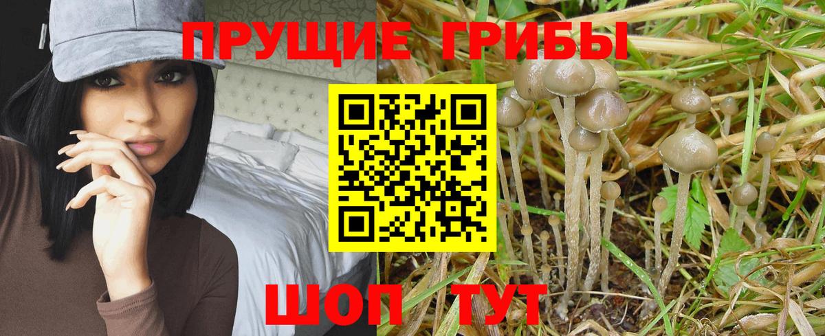 Псилоцибиновые грибы GOLDEN TEACHER  Галлюциногенные грибы Magic Shrooms  Вход с VPN  Спасск-Дальний 